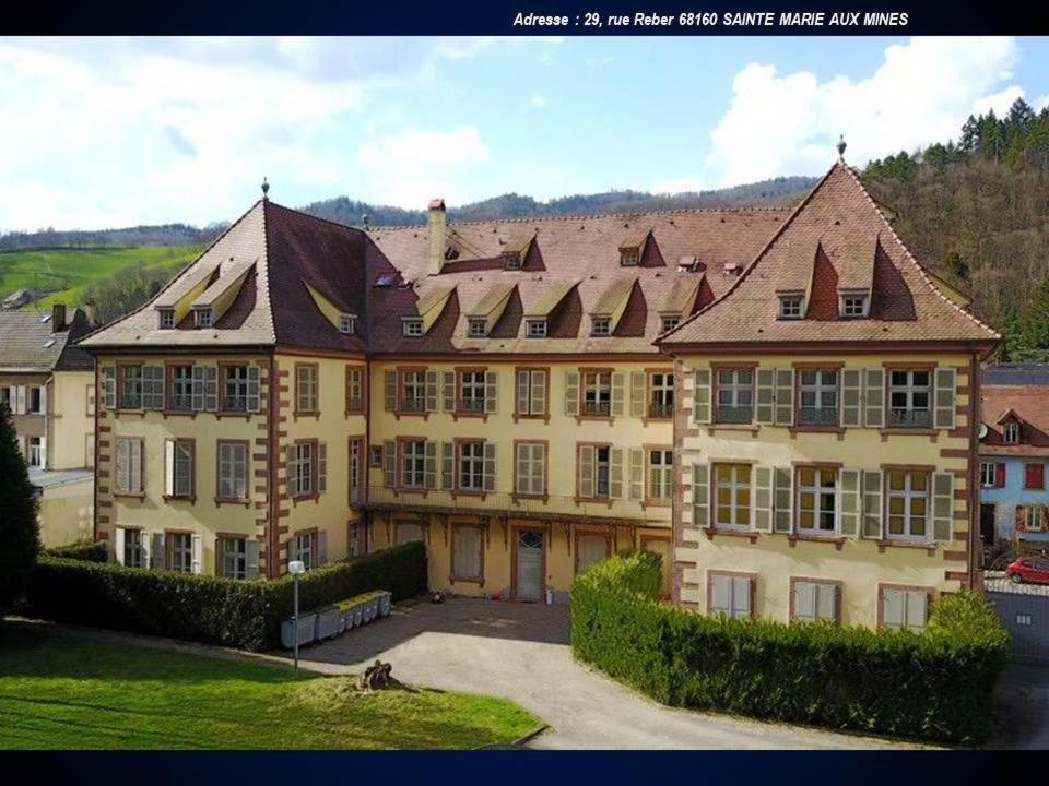 Aux Souvenirs D'Anaelle Gites 5 Personnes Sainte-Marie-aux-Mines Εξωτερικό φωτογραφία