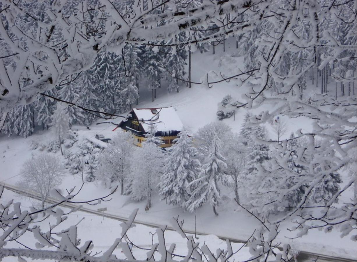 Aux Souvenirs D'Anaelle Gites 5 Personnes Sainte-Marie-aux-Mines Εξωτερικό φωτογραφία