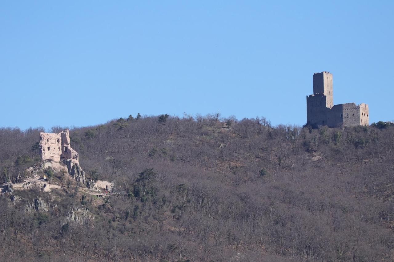 Aux Souvenirs D'Anaelle Gites 5 Personnes Sainte-Marie-aux-Mines Εξωτερικό φωτογραφία